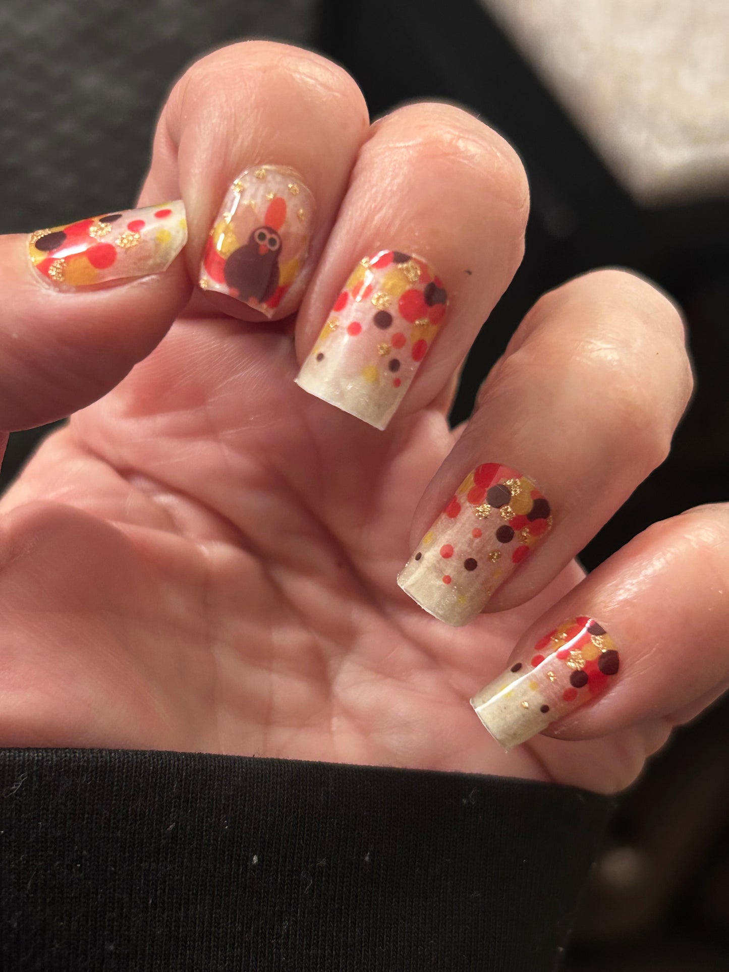 Turkey Tom Overlay Nail Wraps
