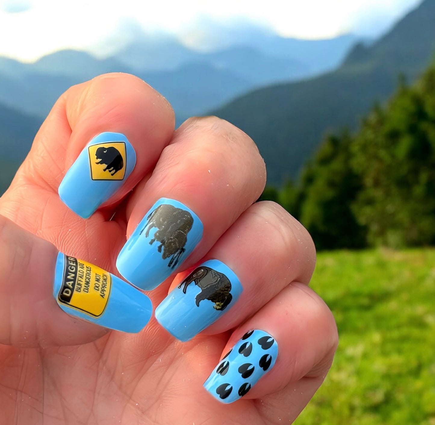 Tourist Tossing - Exclusive Bison Nail Wraps